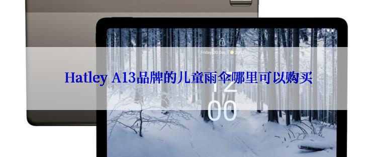  Hatley A13品牌的儿童雨伞哪里可以购买