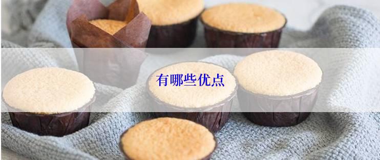 有哪些优点