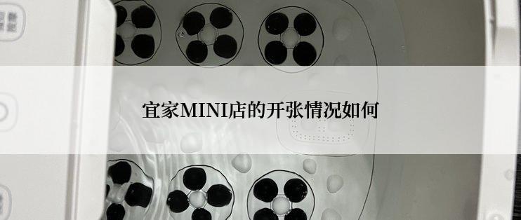 宜家MINI店的开张情况如何