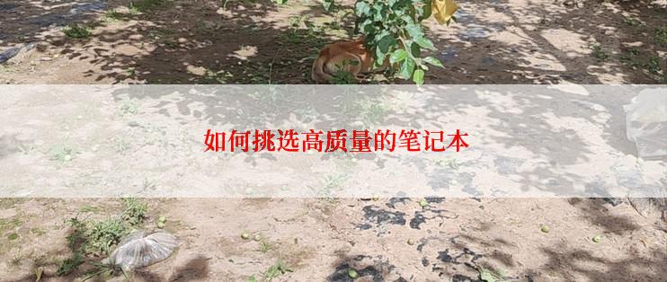  如何挑选高质量的笔记本