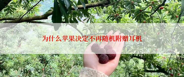 为什么苹果决定不再随机附赠耳机