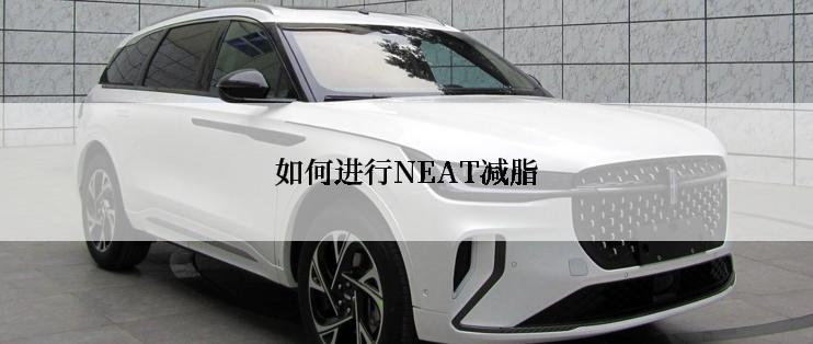如何进行NEAT减脂