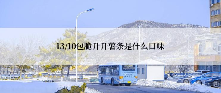 13/10包脆升升薯条是什么口味