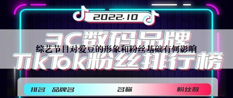 综艺节目对爱豆的形象和粉丝基础有何影响