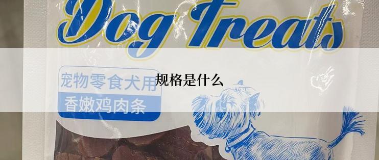 规格是什么