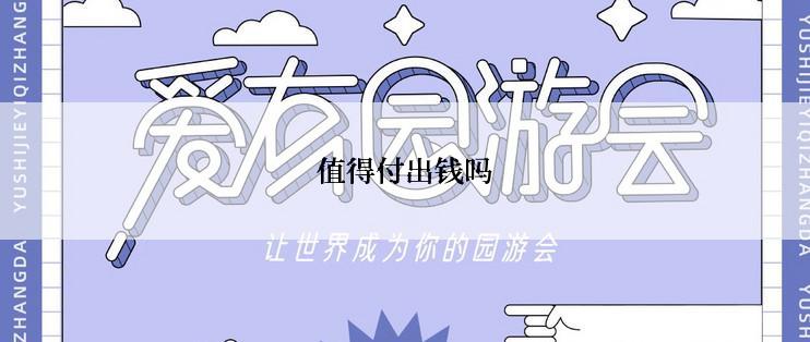 值得付出钱吗