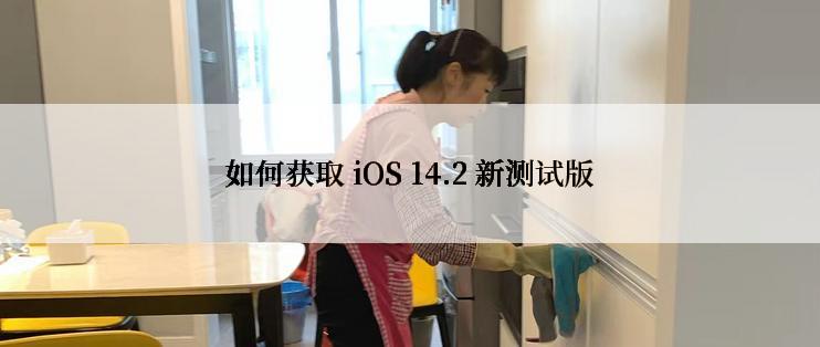 如何获取 iOS 14.2 新测试版