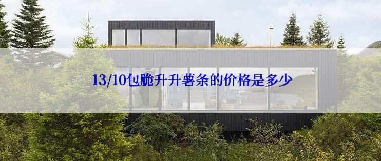  13/10包脆升升薯条的价格是多少