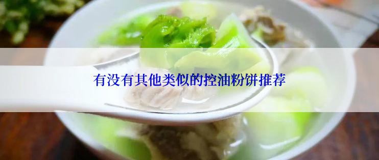 有没有其他类似的控油粉饼推荐