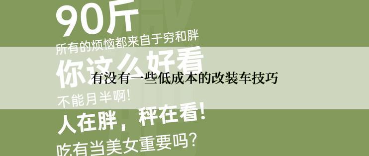 有没有一些低成本的改装车技巧