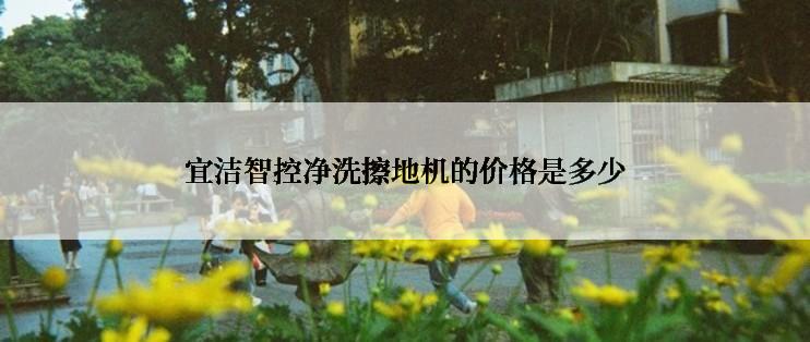 宜洁智控净洗擦地机的价格是多少