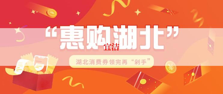 宜洁