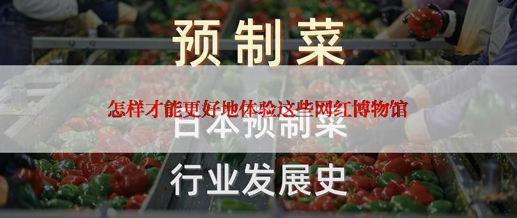 怎样才能更好地体验这些网红博物馆