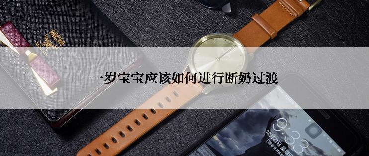 一岁宝宝应该如何进行断奶过渡