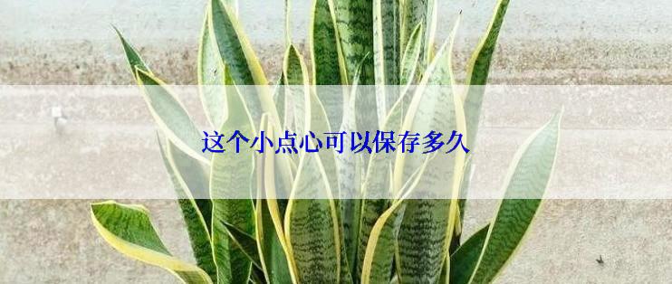 这个小点心可以保存多久