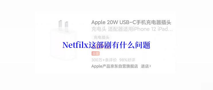 Netfilx这部剧有什么问题