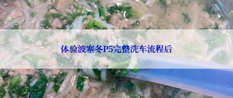 体验波塞冬P5完整洗车流程后