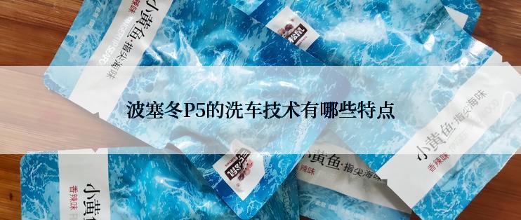 波塞冬P5的洗车技术有哪些特点