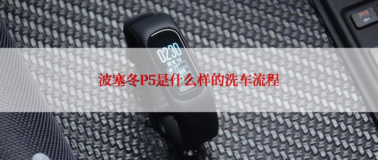 波塞冬P5是什么样的洗车流程