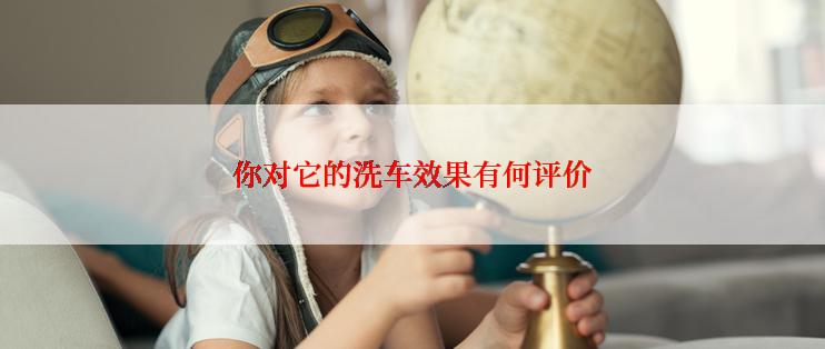 你对它的洗车效果有何评价