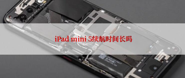  iPad mini 5续航时间长吗
