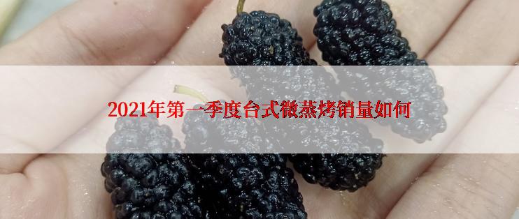 2021年第一季度台式微蒸烤销量如何
