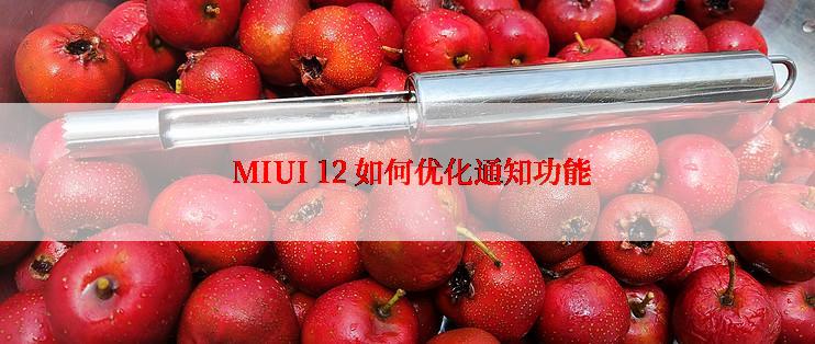  MIUI 12 如何优化通知功能