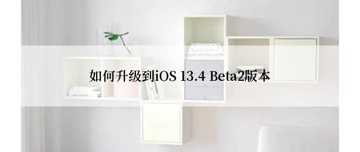 如何升级到iOS 13.4 Beta2版本