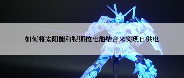 如何将太阳能和特斯拉电池结合来实现自供电