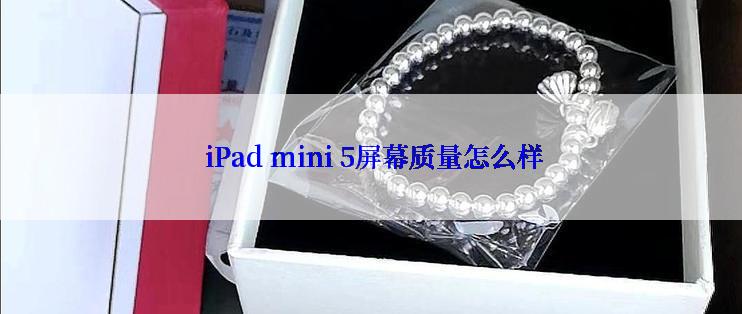  iPad mini 5屏幕质量怎么样