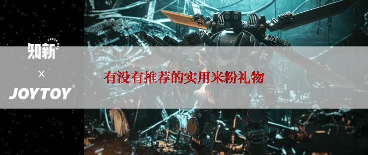 有没有推荐的实用米粉礼物