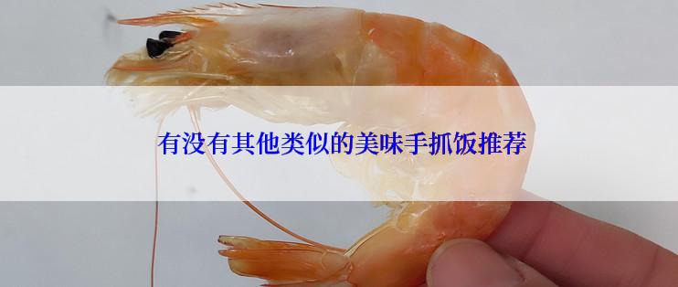  有没有其他类似的美味手抓饭推荐