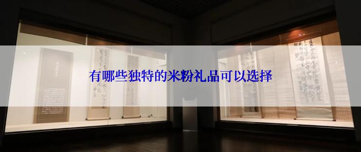 有哪些独特的米粉礼品可以选择