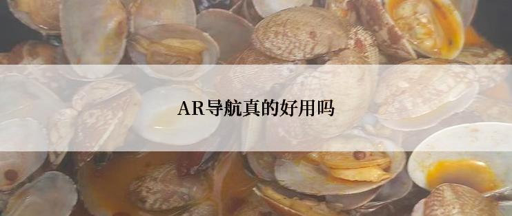 AR导航真的好用吗