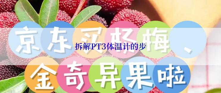 拆解PT3体温计的步