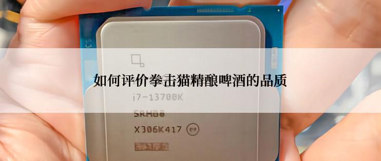 如何评价拳击猫精酿啤酒的品质