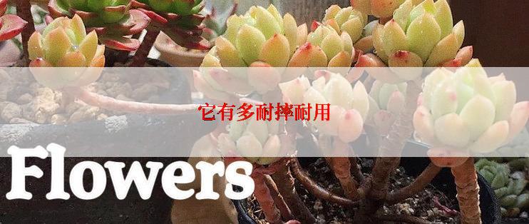 它有多耐摔耐用