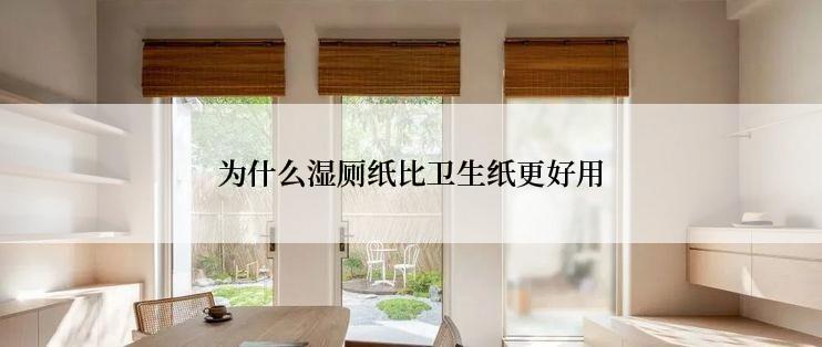 为什么湿厕纸比卫生纸更好用