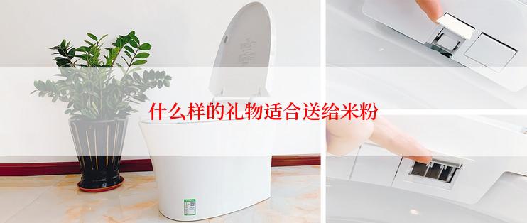 什么样的礼物适合送给米粉