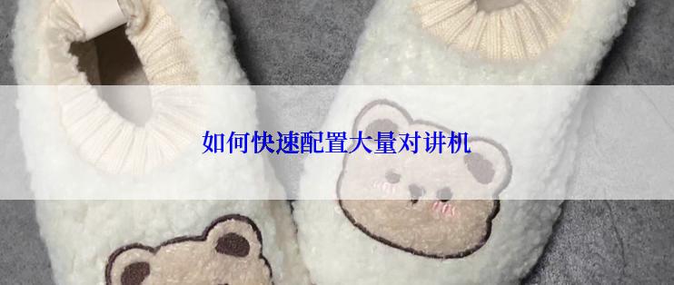 如何快速配置大量对讲机