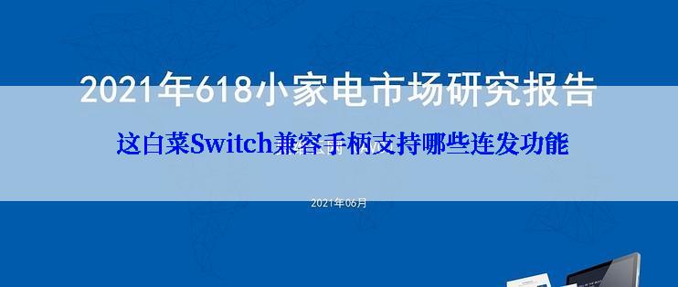  这白菜Switch兼容手柄支持哪些连发功能
