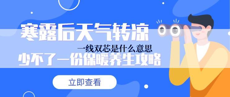 一线双芯是什么意思