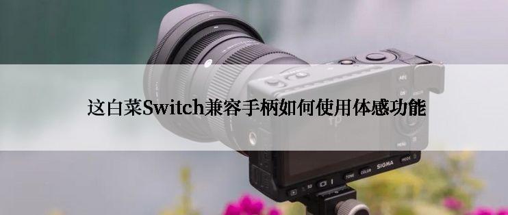  这白菜Switch兼容手柄如何使用体感功能