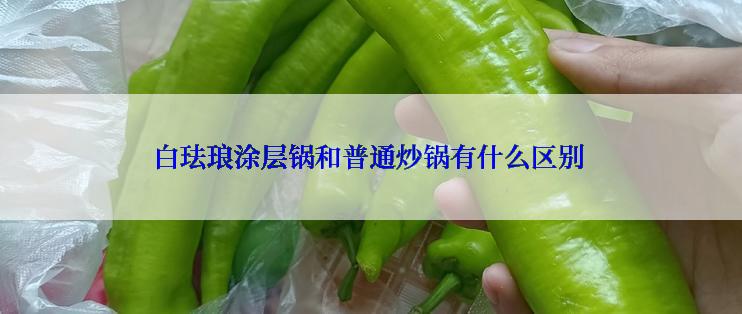 白珐琅涂层锅和普通炒锅有什么区别