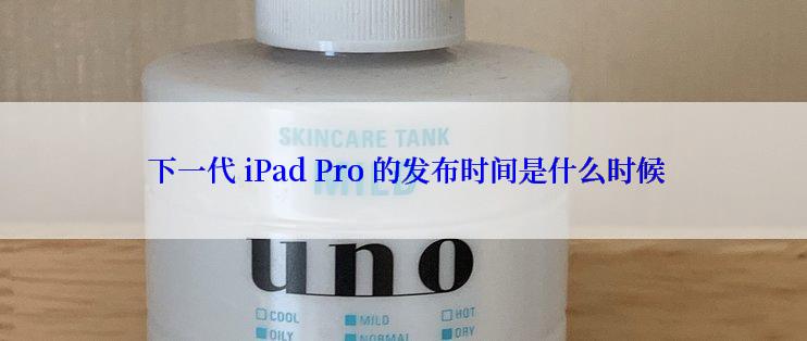  下一代 iPad Pro 的发布时间是什么时候