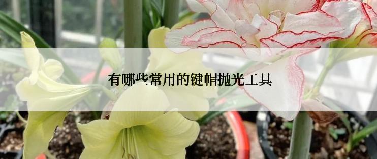  有哪些常用的键帽抛光工具