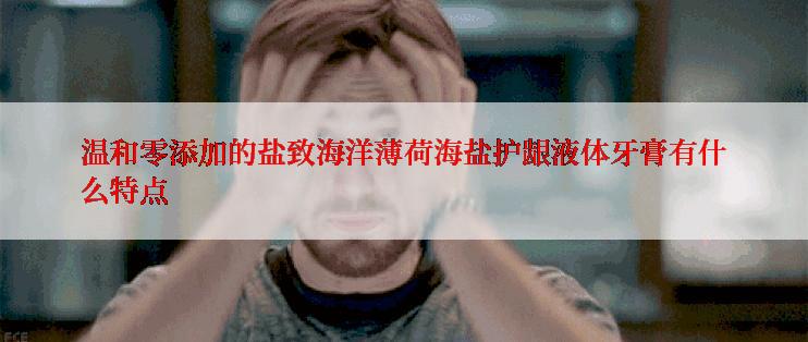 温和零添加的盐致海洋薄荷海盐护龈液体牙膏有什么特点