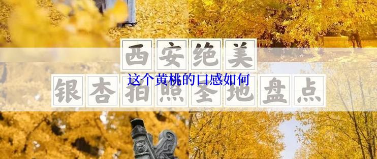 这个黄桃的口感如何