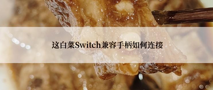  这白菜Switch兼容手柄如何连接