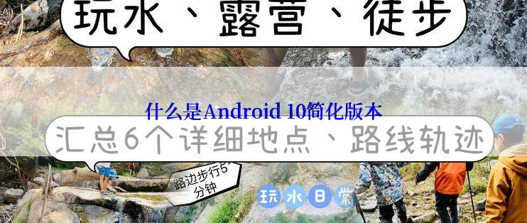 什么是Android 10简化版本